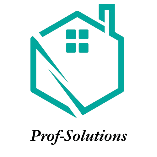 Prof-Solutions team